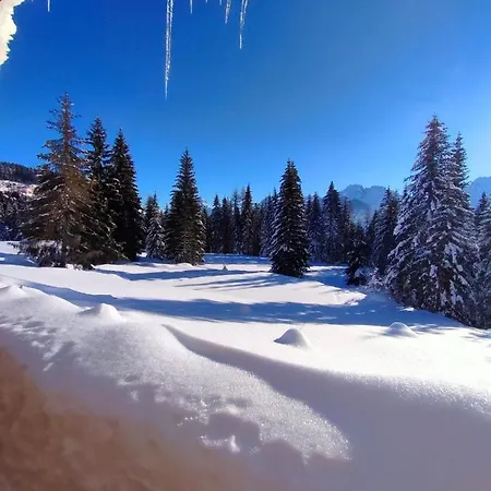 Apartamento Alpen Blick Danta