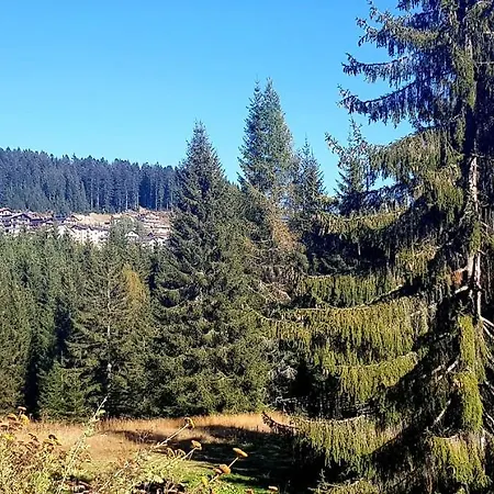 Alpen Blick Danta